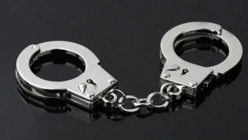 Активных участников экстремистского движения ДВК арестовали на два месяца