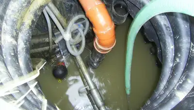 pixabay.com, фото - Новости Zakon.kz от 17.09.2019 17:47