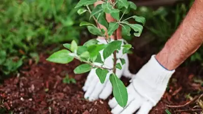 riakursk.ru, фото - Новости Zakon.kz от 15.02.2019 15:54