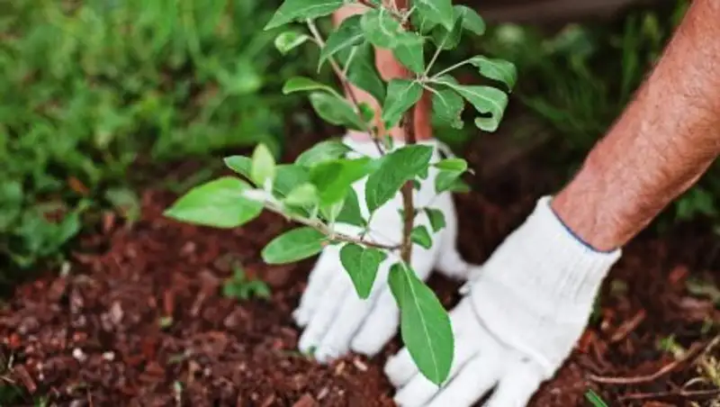 С первого апреля в Восточном Казахстане стартует акция "Жас Оркен"