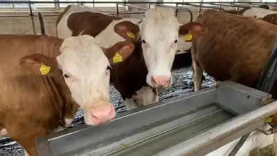 "Агро Даму", фото - Новости Zakon.kz от 24.05.2021 15:51