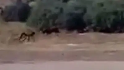 Zakon.kz, фото - Новости Zakon.kz от 13.09.2014 20:46