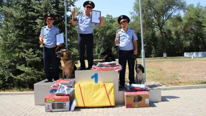 Пес "Фокс" и лейтенант Болысбаев стали лучшими на чемпионате кинологов