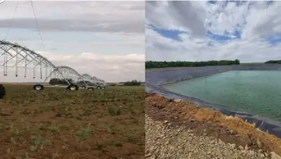  уникальный комплекс по выращиванию сельскозкультур , фото - Новости Zakon.kz от 26.08.2022 15:36