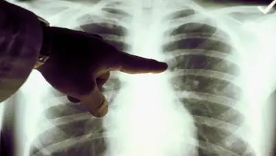 Pixabay, фото - Новости Zakon.kz от 22.10.2020 09:34