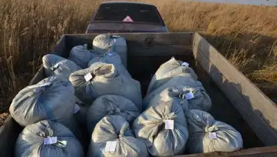 МВД РК, фото - Новости Zakon.kz от 17.10.2020 14:12