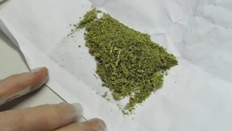 Наркотики под стелькой обуви и в банке со сметаной прислали осужденным в колонию