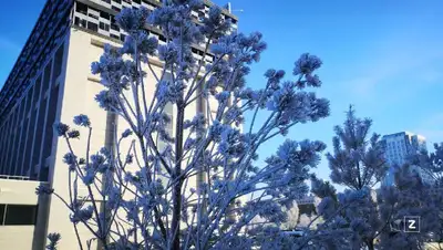 зима , фото - Новости Zakon.kz от 19.01.2022 11:46