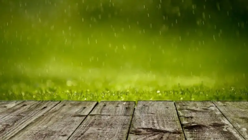 На большей части Казахстана в пятницу пройдут осадки