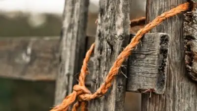 Zakon.kz, фото - Новости Zakon.kz от 24.11.2015 17:08