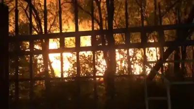 YouTube, фото - Новости Zakon.kz от 14.08.2020 23:01