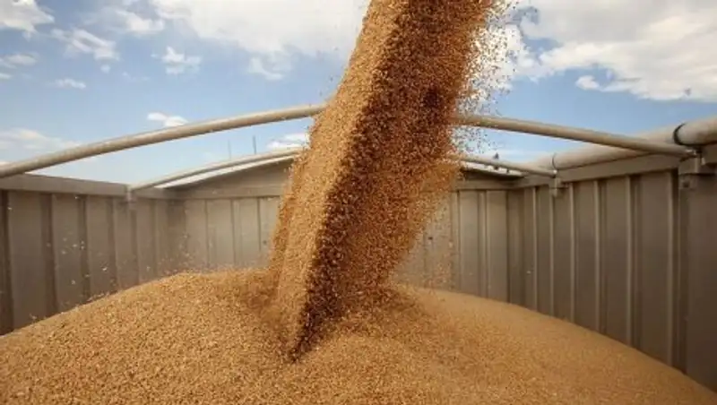 О&#1178;О-да 470 мы&#1187; тонна маса&#1179;ты д&#1241;нді да&#1179;ыл жиналды