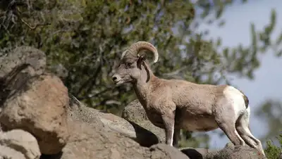 нацпарк, Туркестанская область, фото - Новости Zakon.kz от 22.07.2022 16:53