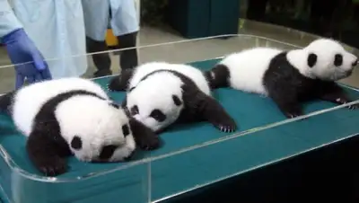 Zakon.kz, фото - Новости Zakon.kz от 11.12.2014 15:52