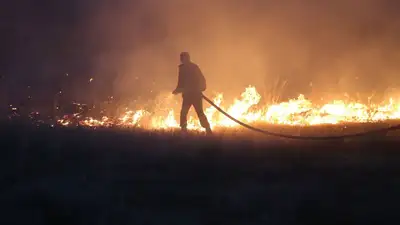 Сильный пожар в пойме Иртыша в Павлодаре попал на видео, фото - Новости Zakon.kz от 08.05.2023 23:07