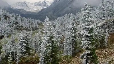 Zakon.kz, фото - Новости Zakon.kz от 09.03.2016 19:02