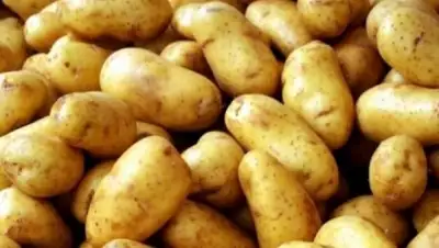 Zakon.kz, фото - Новости Zakon.kz от 02.06.2016 15:14