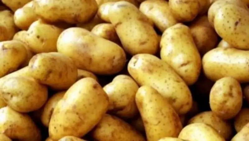 Казахстан снимет ограничения на ввоз картофеля из Кыргызстана