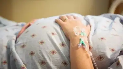 elorda.info, фото - Новости Zakon.kz от 06.11.2018 16:55