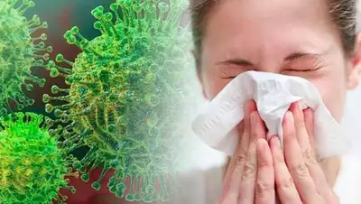 yandex.ru, фото - Новости Zakon.kz от 07.04.2020 11:02