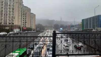 Дождь, Алматы  , фото - Новости Zakon.kz от 29.03.2022 17:22