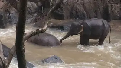 newtimes.kz/images, фото - Новости Zakon.kz от 08.10.2019 14:31