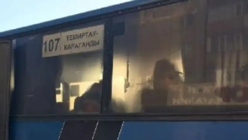 Драка водителя автобуса и женщины с собакой в Темиртау попала на видео