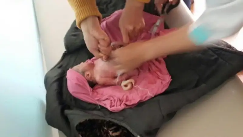 Новорожденного ребенка нашли в контейнере в Карагандинской области