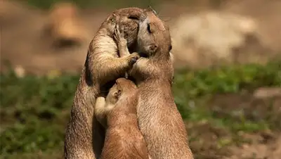 Zakon.kz, фото - Новости Zakon.kz от 15.01.2015 22:47