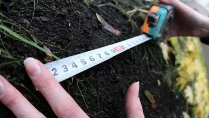 Комиссия в Павлодарской области предоставляла землю без аукциона и торгов