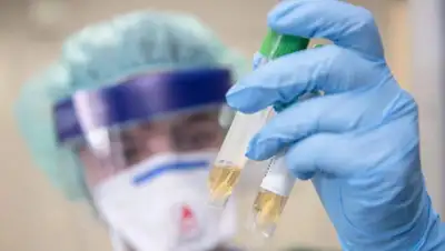 Алматы.тв, фото - Новости Zakon.kz от 08.04.2020 08:46