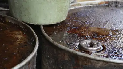 regnum.ru, фото - Новости Zakon.kz от 27.04.2020 13:22