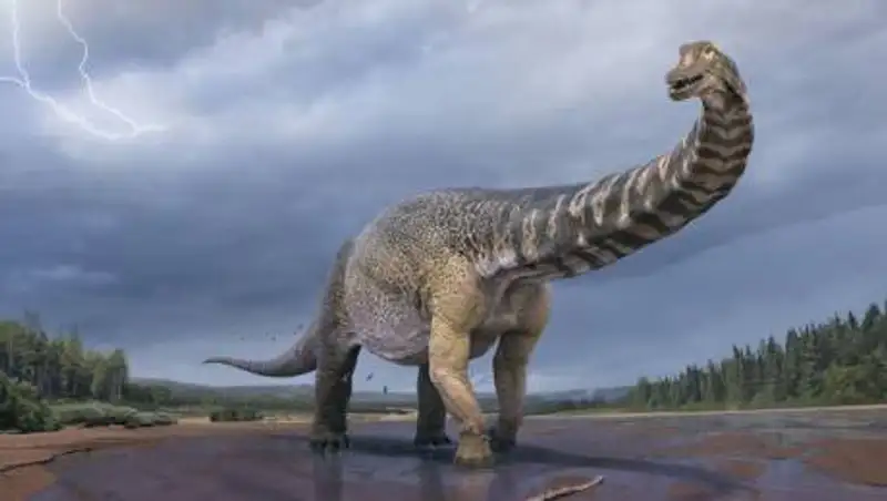 С баскетбольную площадку: самый крупный вид динозавра обнаружили в Австралии