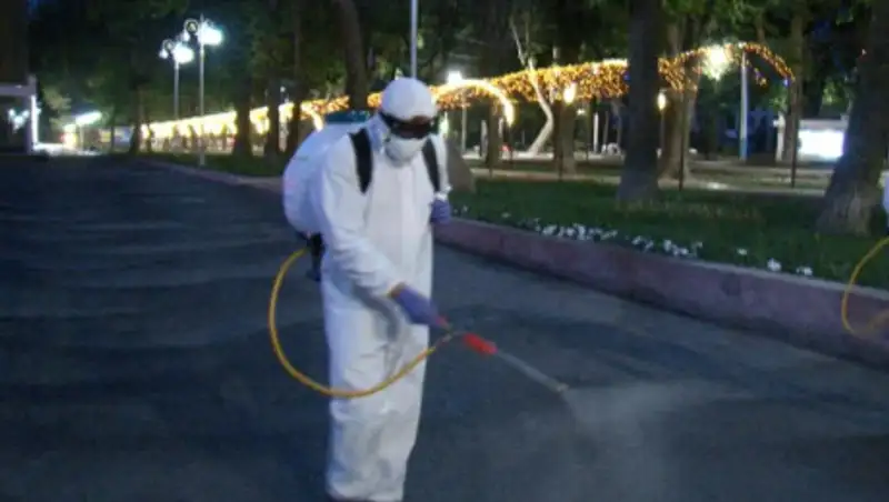 Число подтвержденных случаев COVID-19 в Кыргызстане превысило 1400