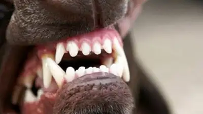 Zakon.kz, фото - Новости Zakon.kz от 19.09.2014 22:19