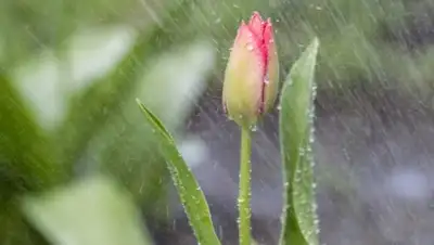 Zakon.kz, фото - Новости Zakon.kz от 21.04.2015 15:00