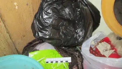 Zakon.kz, фото - Новости Zakon.kz от 22.08.2017 13:21