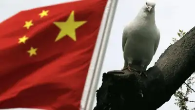 Zakon.kz, фото - Новости Zakon.kz от 15.05.2015 01:10