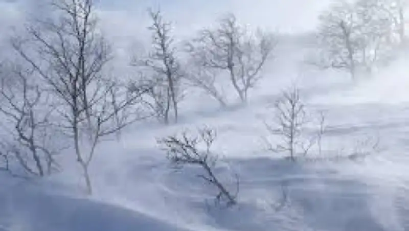 Акмолинские полицейские нашли трех школьников, затерявшихся в снежном буране