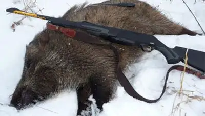 Zakon.kz, фото - Новости Zakon.kz от 05.02.2014 20:38