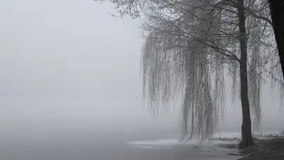 stihi.ru, фото - Новости Zakon.kz от 12.01.2019 16:09