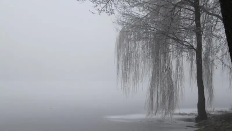 Синоптики предупредили об ухудшении погоды в трех регионах Казахстана