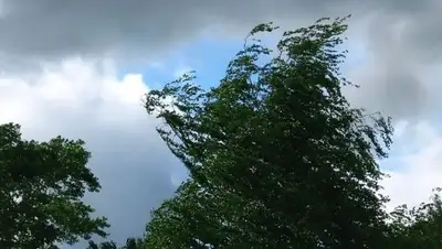 gorodlip.ru, фото - Новости Zakon.kz от 21.05.2018 15:35