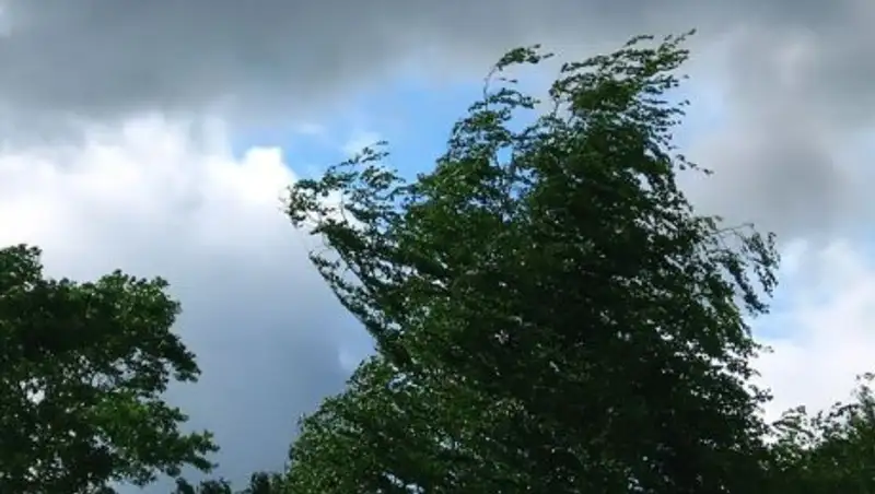 Штормовое предупреждение объявлено в четырех областях РК