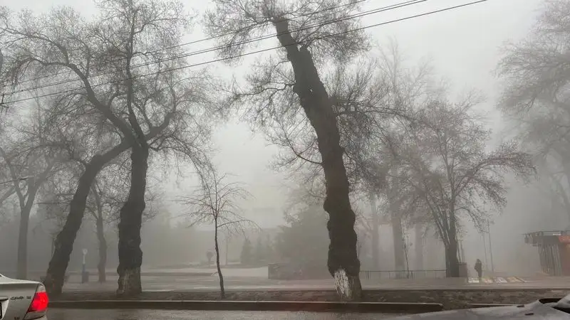 , фото - Новости Zakon.kz от 16.03.2023 09:47