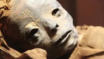 pixabay.com, фото - Новости Zakon.kz от 22.01.2021 06:25