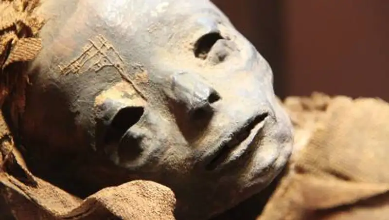 Детские гробницы инков обнаружили археологи