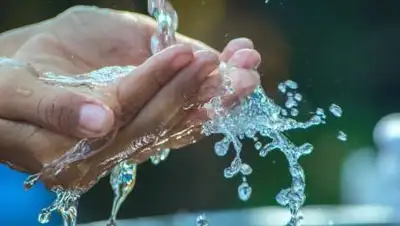 pixabay.com, фото - Новости Zakon.kz от 17.10.2021 01:30