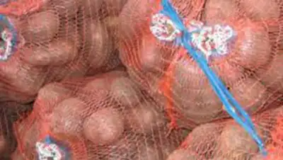 Zakon.kz, фото - Новости Zakon.kz от 04.11.2014 01:23