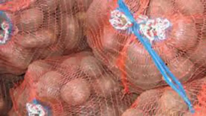 В магазины ВКО начала поступать продукция со складов стабфонда